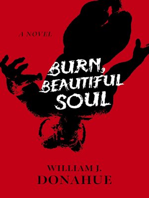cover image of Burn, Beautiful Soul